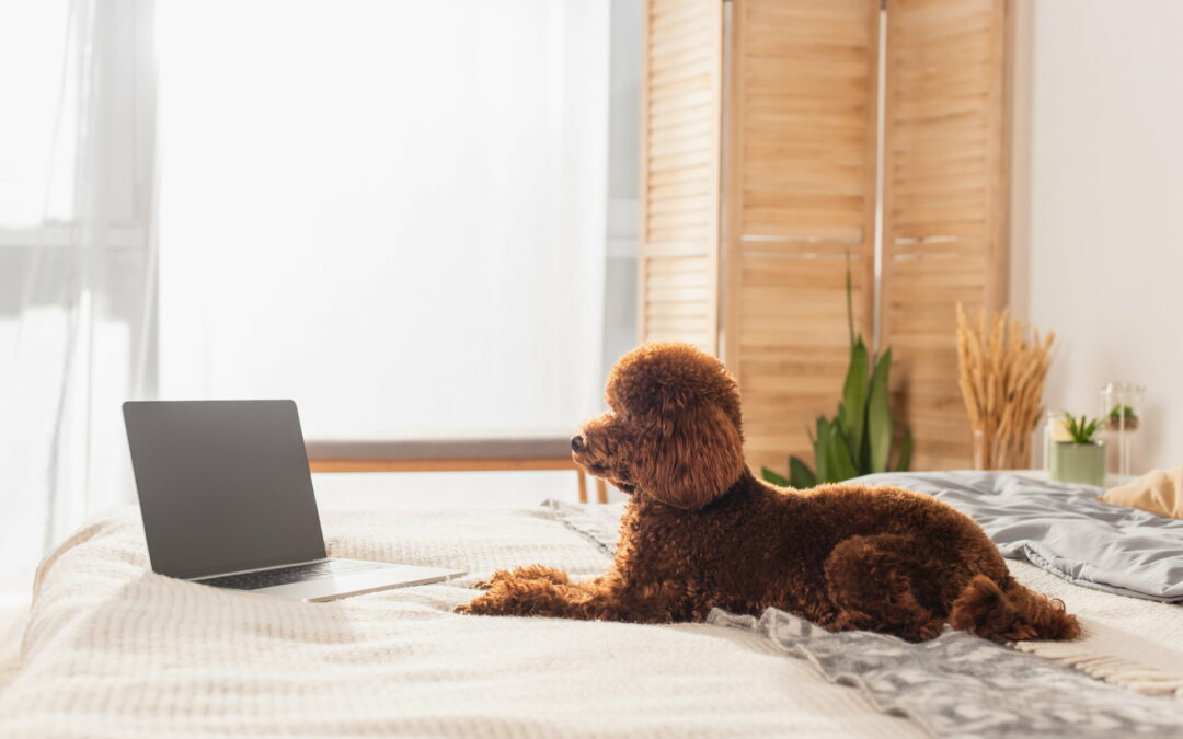 Dein Guide durch die Schreibblockade: 25 Ursachen und gezielte Lösungen für den Schreibflow